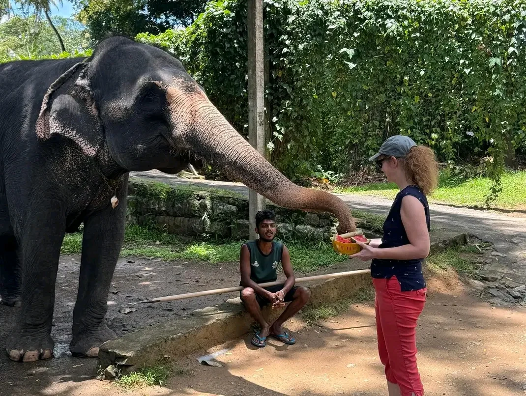 Ceylon Nomadic Travels Real Tour Moment