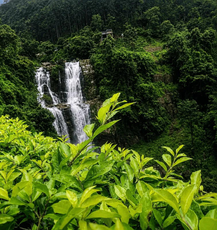 Nuwara Eliya